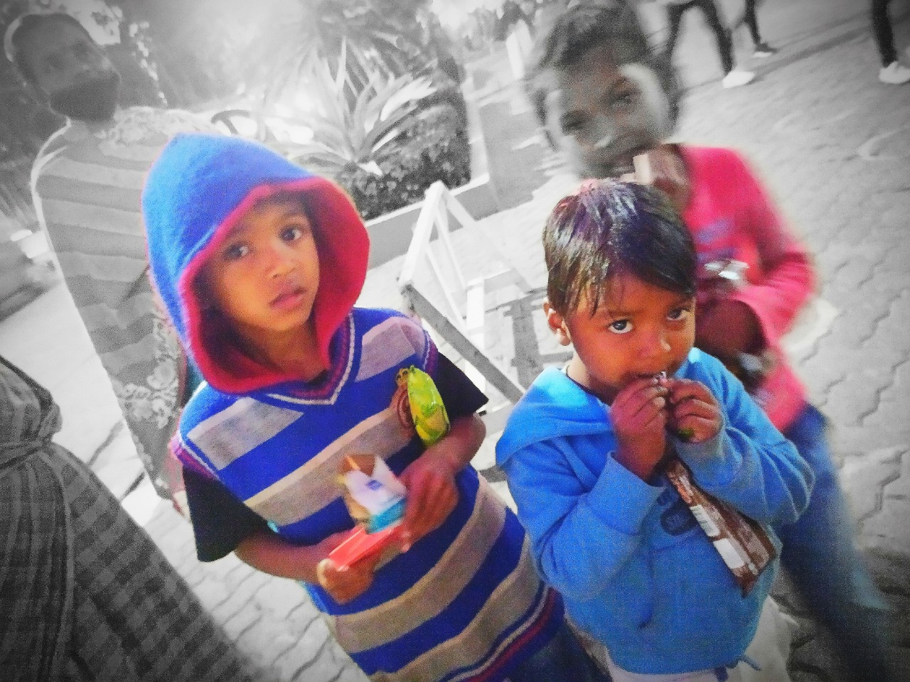 Image gallery image
